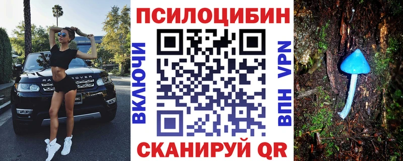 Галлюциногенные грибы MAGIC MUSHROOMS  Тамбов 
